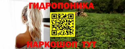 прущие крисы Свободный