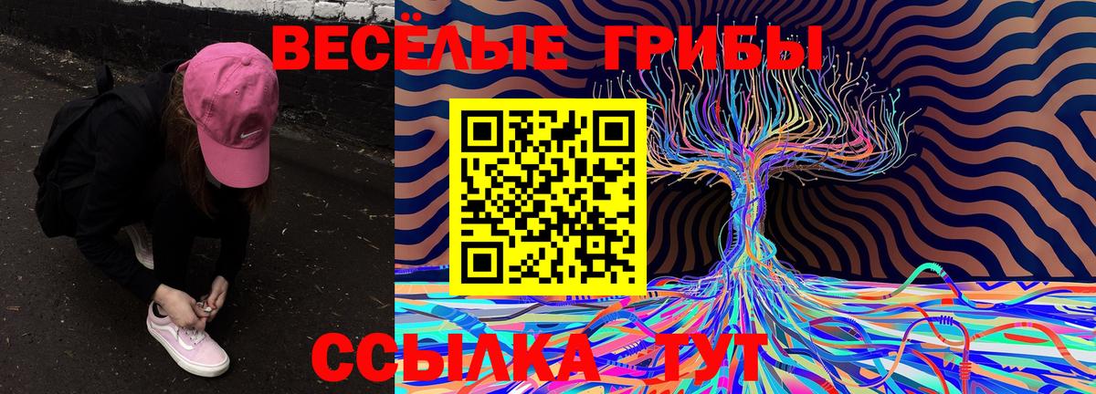 Самара  Псилоцибиновые грибы Psilocybine cubensis  Вход с VPN 